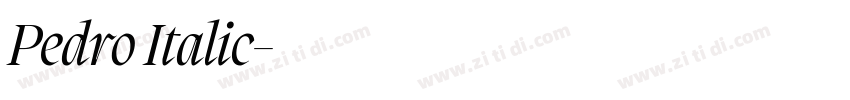 Pedro Italic字体转换 Pedro Italic字体转换